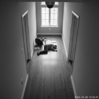 Gemini 25 Flash Image Preview Img1427 20250908 170638 Afternoon Surveillance