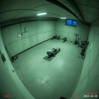 Gemini 25 Flash Image Preview Img144 20250908 124644 Evening Surveillance