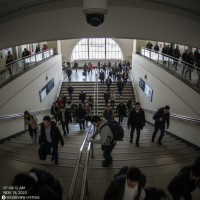 Gemini 25 Flash Image Preview Img1451 20250908 170641 Morning Surveillance