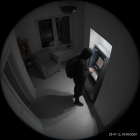 Gemini 25 Flash Image Preview Img1456 20250908 170642 Night Surveillance