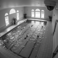 Gemini 25 Flash Image Preview Img1471 20250908 170645 Afternoon Surveillance