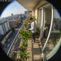 Gemini 25 Flash Image Preview Img147 20250908 124746 Morning Surveillance