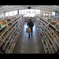 Gemini 25 Flash Image Preview Img1510 20250908 170649 Afternoon Surveillance