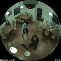 Gemini 25 Flash Image Preview Img1541 20250908 170654 Evening Surveillance