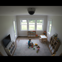 Gemini 25 Flash Image Preview Img1567 20250908 170656 Afternoon Surveillance