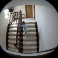 Gemini 25 Flash Image Preview Img1569 20250908 170657 Daytime Surveillance