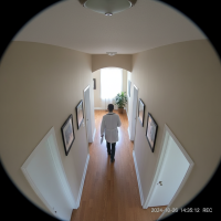 Gemini 25 Flash Image Preview Img1599 20250908 170659 Daytime Surveillance