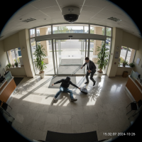 Gemini 25 Flash Image Preview Img1613 20250908 170701 Afternoon Surveillance