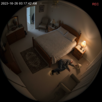 Gemini 25 Flash Image Preview Img161 20250908 170337 Bedroom Night Surveillance