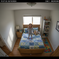 Gemini 25 Flash Image Preview Img1649 20250908 170704 Bedroom Afternoon Surveillance