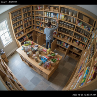 Gemini 25 Flash Image Preview Img164 20250908 125341 Daytime Surveillance