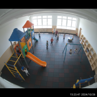 Gemini 25 Flash Image Preview Img1670 20250908 170706 Afternoon Surveillance