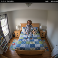 Gemini 25 Flash Image Preview Img167 20250908 170339 Bedroom Afternoon Surveillance