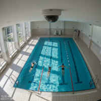 Gemini 25 Flash Image Preview Img1705 20250908 171316 Afternoon Surveillance