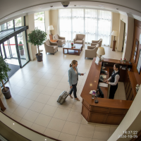 Gemini 25 Flash Image Preview Img1771 20250908 170712 Afternoon Surveillance