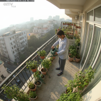 Gemini 25 Flash Image Preview Img177 20250908 125818 Morning Surveillance