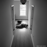 Gemini 25 Flash Image Preview Img179 20250908 160610 Afternoon Surveillance