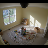 Gemini 25 Flash Image Preview Img1879 20250908 171324 Afternoon Surveillance