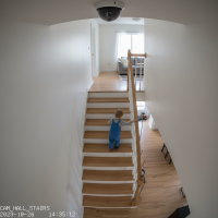 Gemini 25 Flash Image Preview Img1881 20250908 171324 Daytime Surveillance