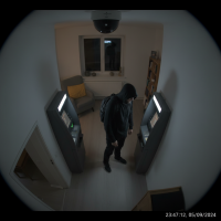 Gemini 25 Flash Image Preview Img1924 20250908 171325 Night Surveillance