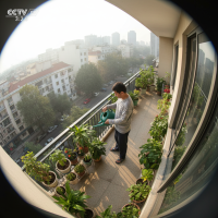 Gemini 25 Flash Image Preview Img192 20250908 130344 Morning Surveillance