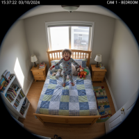 Gemini 25 Flash Image Preview Img1961 20250908 171327 Bedroom Afternoon Surveillance