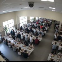 Gemini 25 Flash Image Preview Img1981 20250908 171328 Eating Surveillance