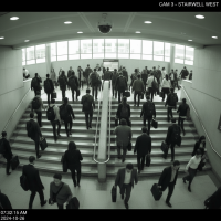 Gemini 25 Flash Image Preview Img1997 20250908 171328 Morning Surveillance