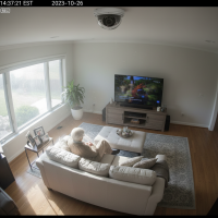 Gemini 25 Flash Image Preview Img5304 20250908 171104 Living Room Daytime Surveillance