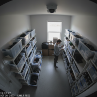 Gemini 25 Flash Image Preview Img531 20250908 170431 Afternoon Surveillance