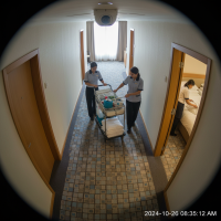 Gemini 25 Flash Image Preview Img5362 20250908 171107 Morning Surveillance