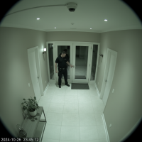 Gemini 25 Flash Image Preview Img5612 20250908 171118 Night Surveillance