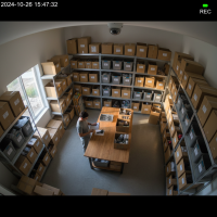 Gemini 25 Flash Image Preview Img609 20250908 170442 Afternoon Surveillance