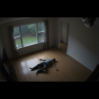 Gemini 25 Flash Image Preview Img623 20250908 170444 Night Surveillance