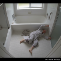 Gemini 25 Flash Image Preview Img628 20250908 170444 Bathroom Morning Surveillance