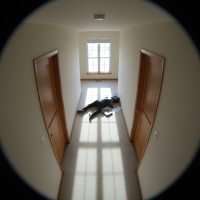 Gemini 25 Flash Image Preview Img647 20250908 170447 Afternoon Surveillance