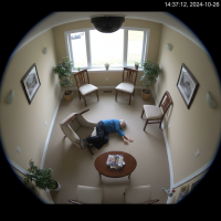 Gemini 25 Flash Image Preview Img664 20250908 170449 Afternoon Surveillance