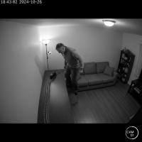 Gemini 25 Flash Image Preview Img670 20250908 170451 Evening Surveillance