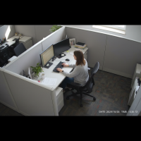 Gemini 25 Flash Image Preview Img720 20250908 170458 Working Daytime Surveillance