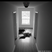 Gemini 25 Flash Image Preview Img725 20250908 170458 Afternoon Surveillance