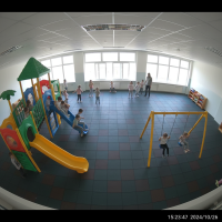 Gemini 25 Flash Image Preview Img734 20250908 170459 Afternoon Surveillance