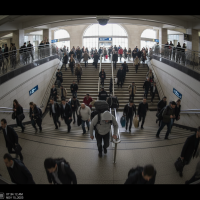 Gemini 25 Flash Image Preview Img749 20250908 170502 Morning Surveillance