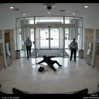 Gemini 25 Flash Image Preview Img755 20250908 170502 Afternoon Surveillance