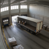 Gemini 25 Flash Image Preview Img764 20250908 170504 Morning Surveillance