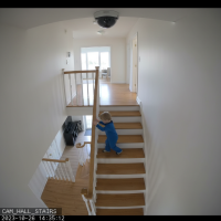 Gemini 25 Flash Image Preview Img789 20250908 170506 Daytime Surveillance