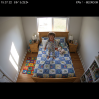 Gemini 25 Flash Image Preview Img791 20250908 170506 Bedroom Afternoon Surveillance