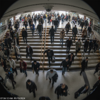 Gemini 25 Flash Image Preview Img827 20250908 170512 Morning Surveillance