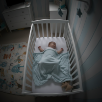 Gemini 25 Flash Image Preview Img864 20250908 170517 Night Surveillance