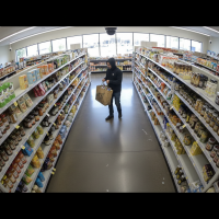 Gemini 25 Flash Image Preview Img886 20250908 170520 Afternoon Surveillance