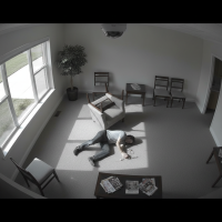 Gemini 25 Flash Image Preview Img898 20250908 170521 Afternoon Surveillance